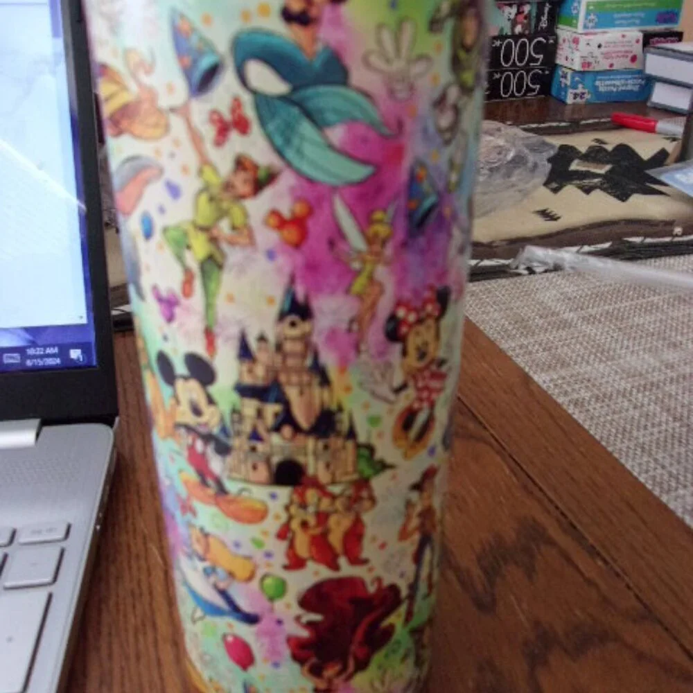 Disney Cartoon Tumbler With Lid And Straw, 20oz Stainless Steel New